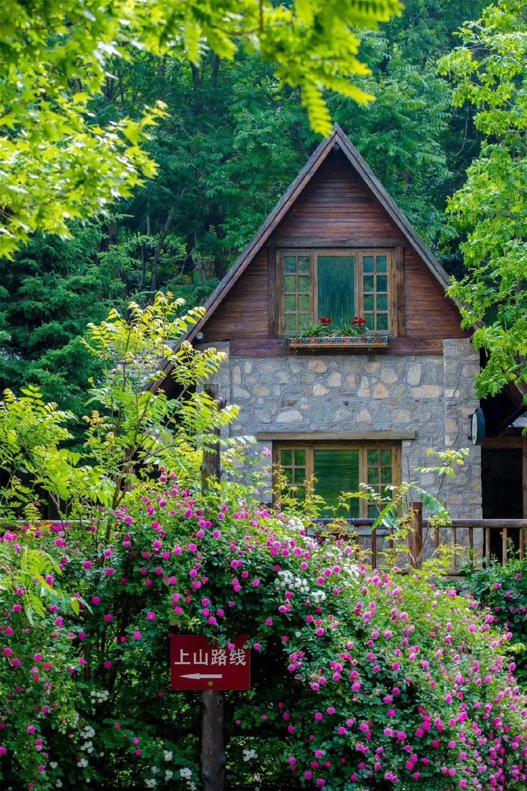 济南高速出行攻略,济南高速旅游攻略