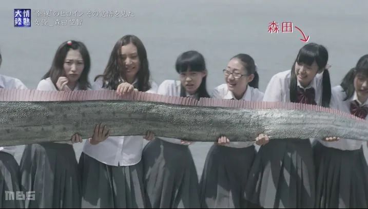 艺人刘涛不忘初心磨砺绽放,她因出演西游记走红