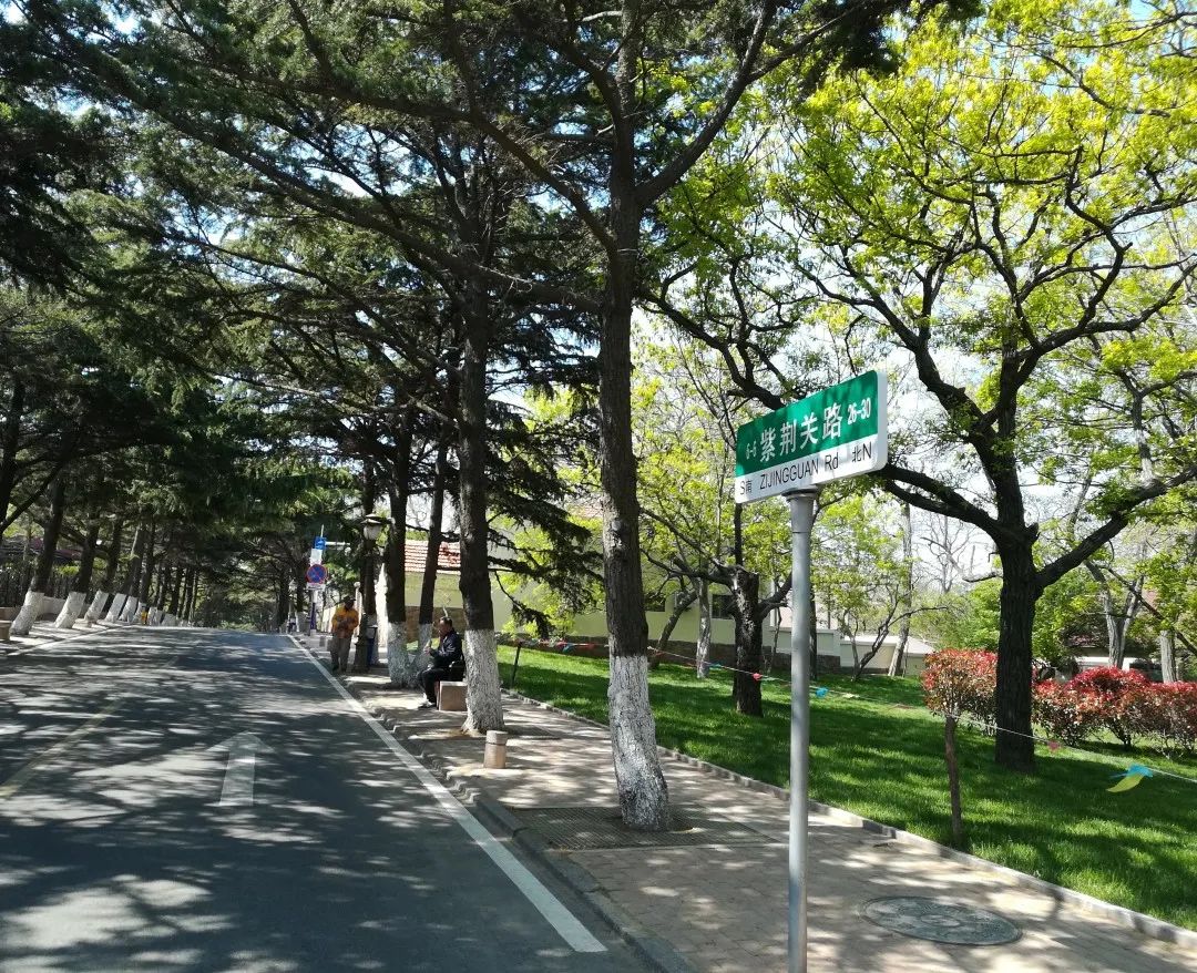 什么是青岛的象征,什么是青岛