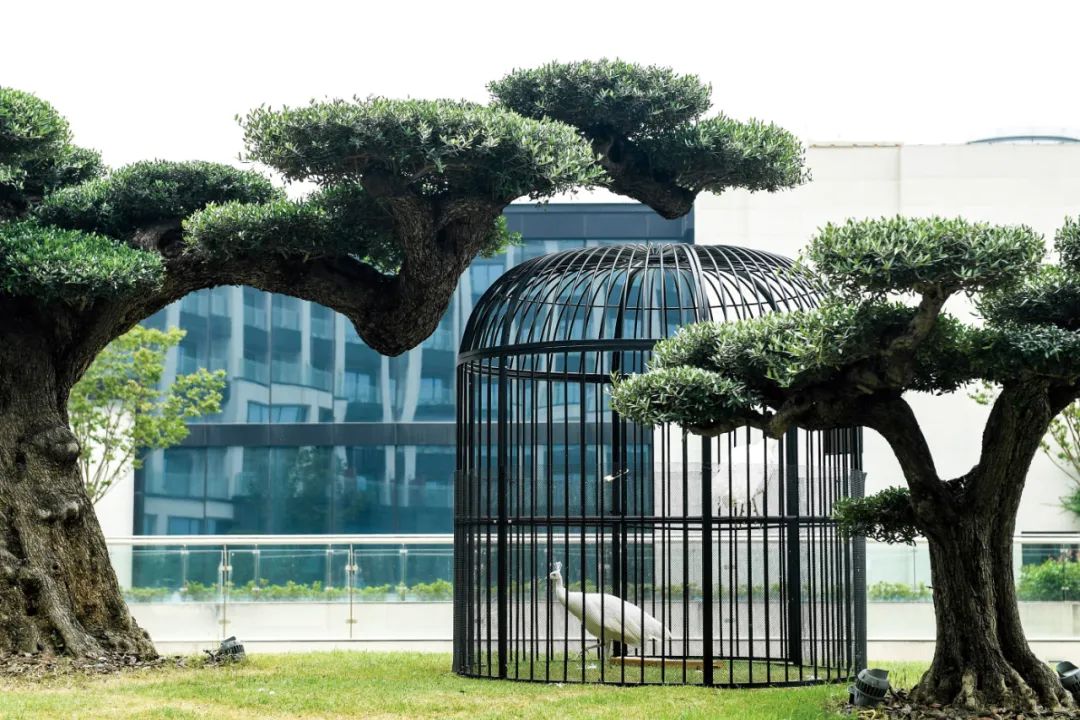 只是好住还不够，现在流行去酒店养生了？