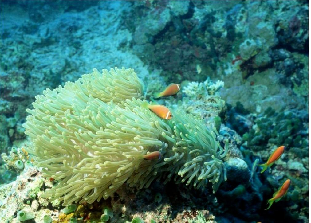 南方协和身体乳推荐,老牌国货身体乳协和