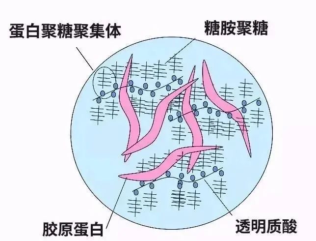 眼霜正品大品牌欧莱雅,眼霜欧莱雅紫熨斗正品