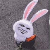 被女主播的直播间拉黑怎么能恢复,主播被阴婚