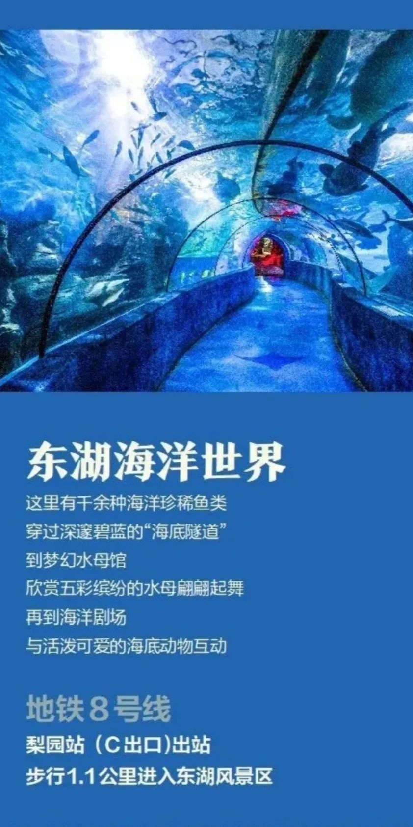 乐活地铁|为么斯我爱上了武汉地铁？