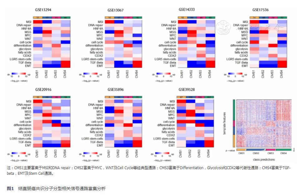 转移性结直肠癌基因分型,结直肠癌病理组织学分级