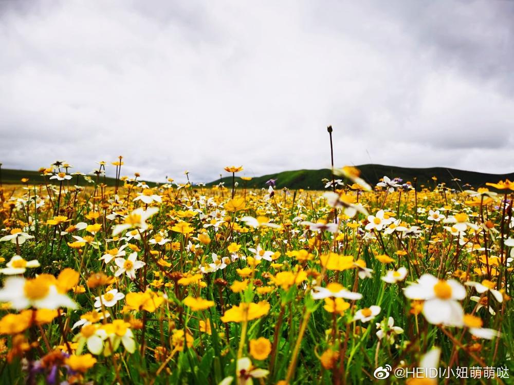“云上高速”来了！成都5.5小时飙拢青海，沿线一大波“神仙”景点，每站都是大美风光片