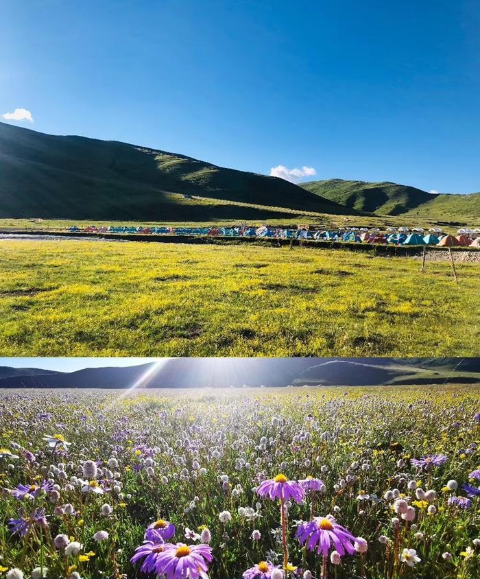 “云上高速”来了！成都5.5小时飙拢青海，沿线一大波“神仙”景点，每站都是大美风光片