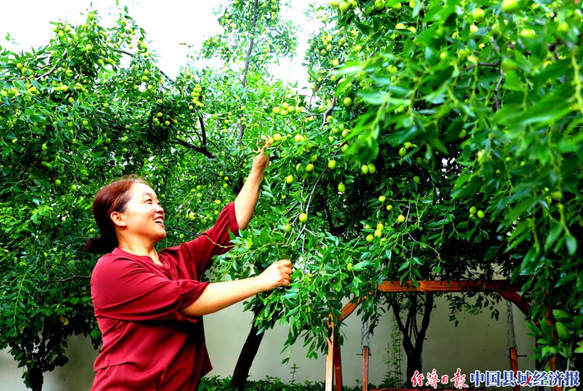 江苏睢宁落实人大议案：环境干净了，日子更美了