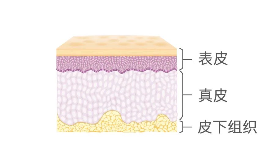 家用射频美容仪会让角质层变薄吗,家用射频美容仪会让脸僵硬吗