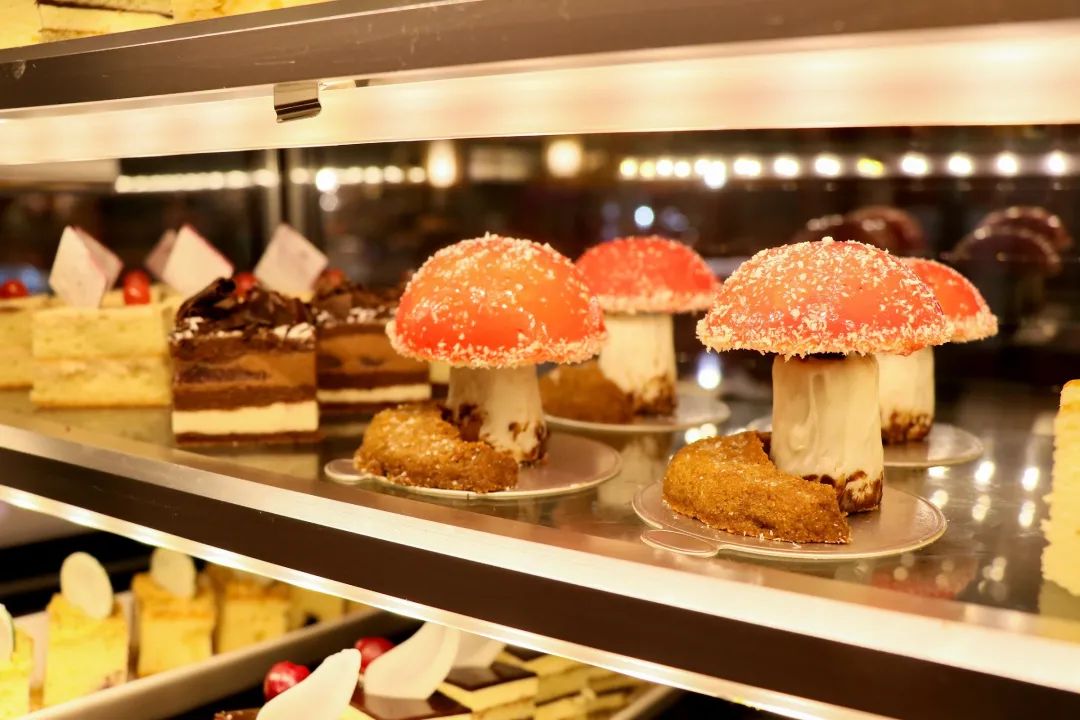 盼来了是什么品牌,盼来了完整版免费