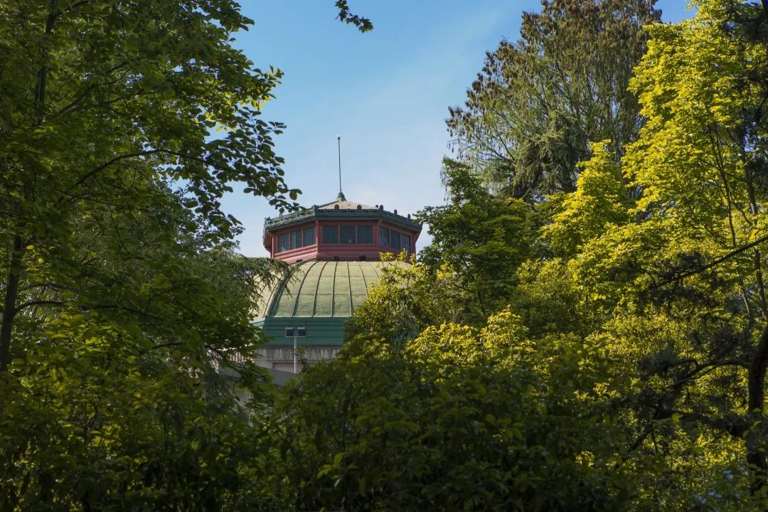 刚刚！东大学子又在这一顶级赛事中创佳绩！