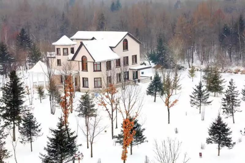 welcometo东北现场,伊春旅游直播间