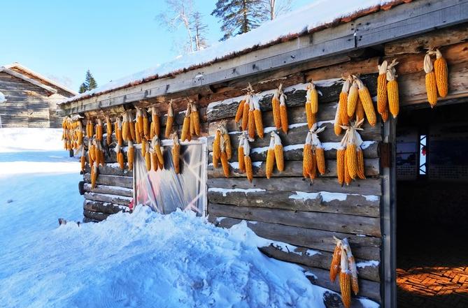 welcometo东北现场,伊春旅游直播间