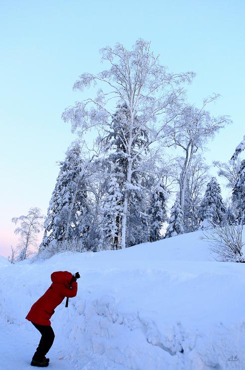 welcometo东北现场,伊春旅游直播间