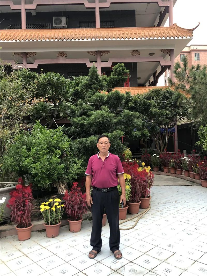 这位大沥村民连续39年自办菊花会，把日子过成诗！