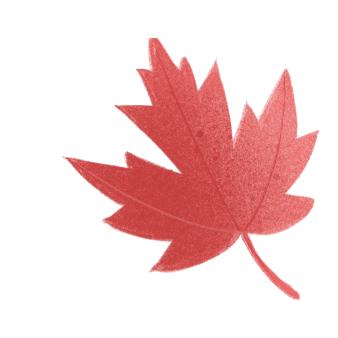 大板房专项治理|七旬老太的“特殊照顾”