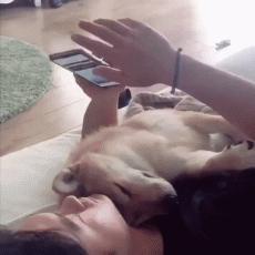 被女主播的直播间拉黑怎么能恢复,主播被阴婚