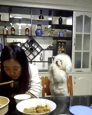 被女主播的直播间拉黑怎么能恢复,主播被阴婚