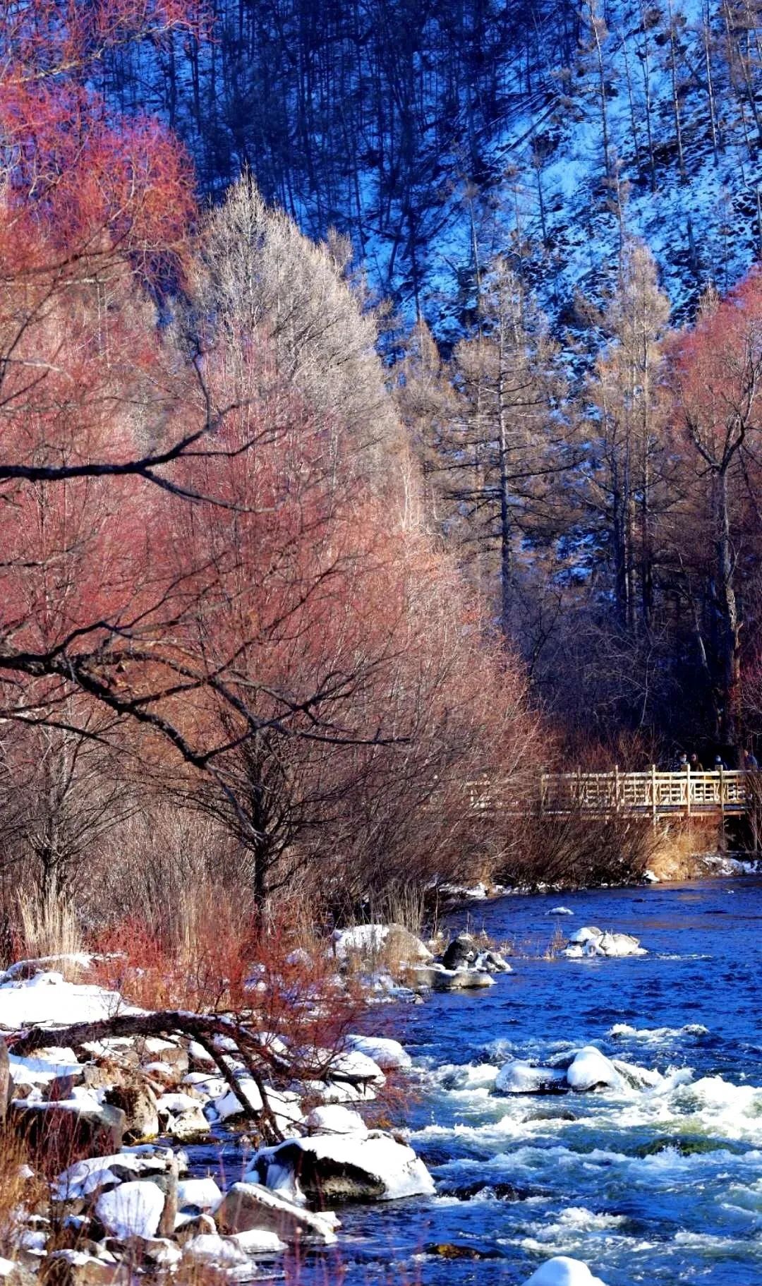 文化和旅游部定点扶贫县,2020省文化和旅游扶贫示范村