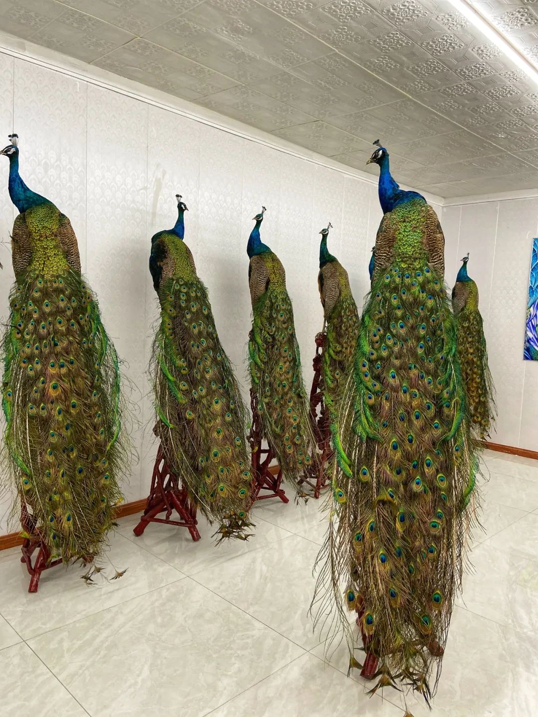 文化和旅游部定点扶贫县,2020省文化和旅游扶贫示范村