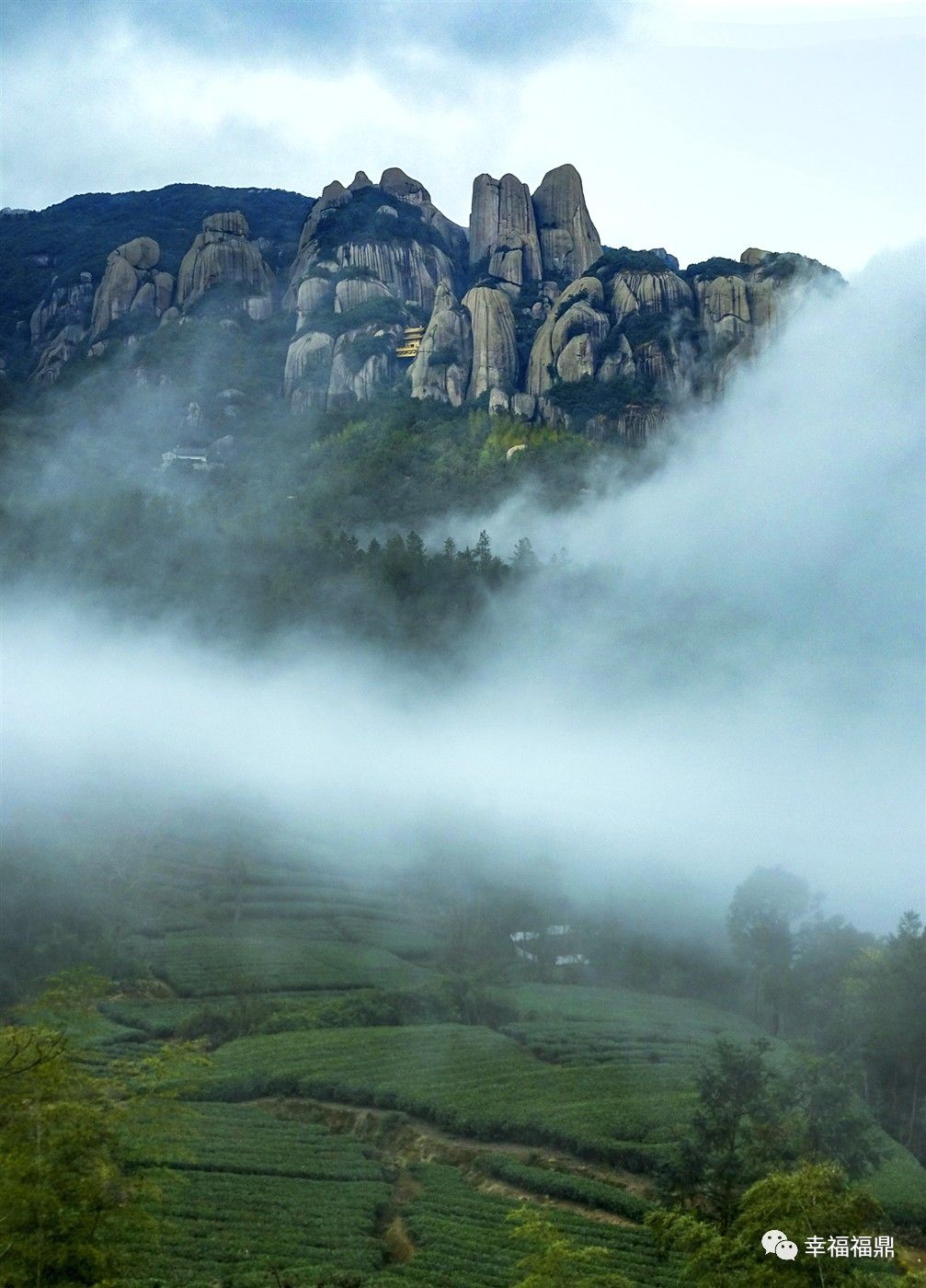 前国家队明星,福鼎足球赛