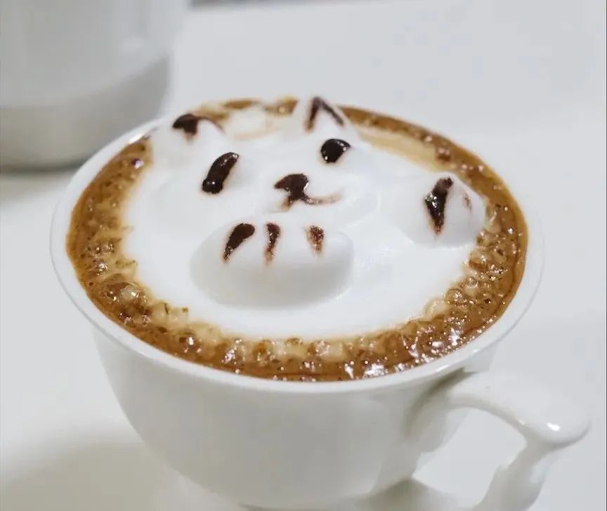 打发奶泡机,最好用的奶泡机