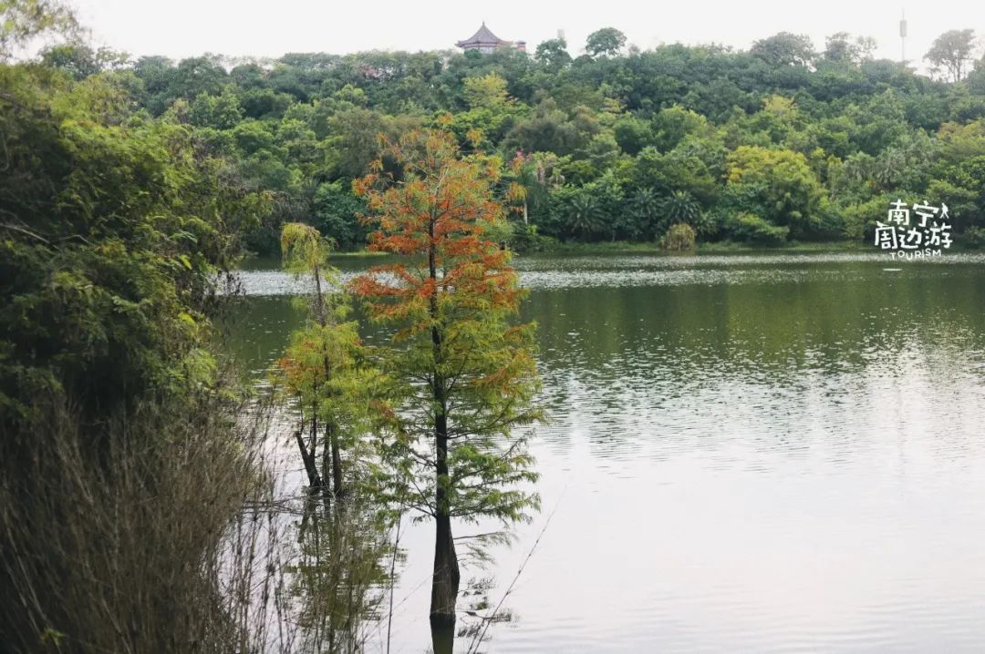南宁适合一日游攻略,南宁免费玩的地方