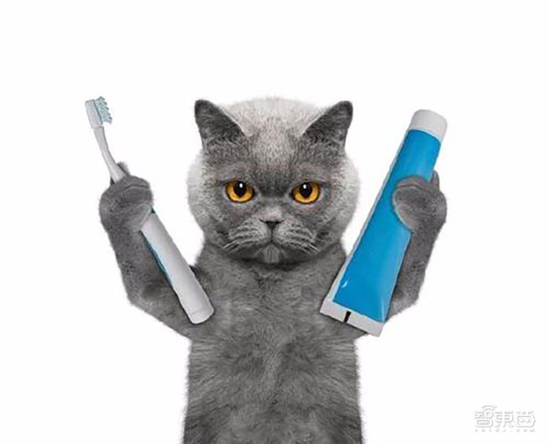 苹果电脑英特尔芯片,苹果mac英特尔版