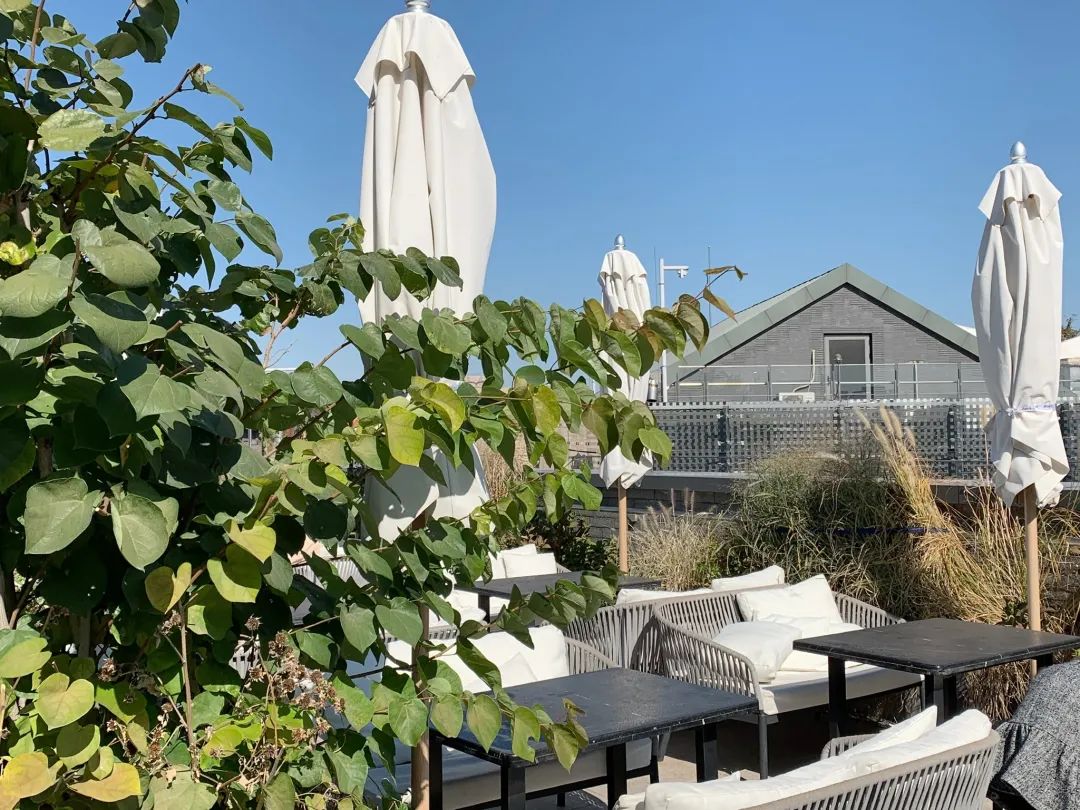 北京浪漫又好看的风景餐厅,北京适合夏天去的餐厅