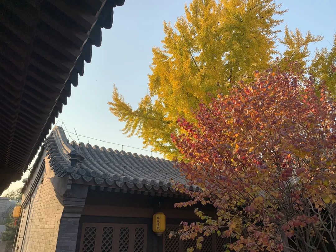 北京浪漫又好看的风景餐厅,北京适合夏天去的餐厅