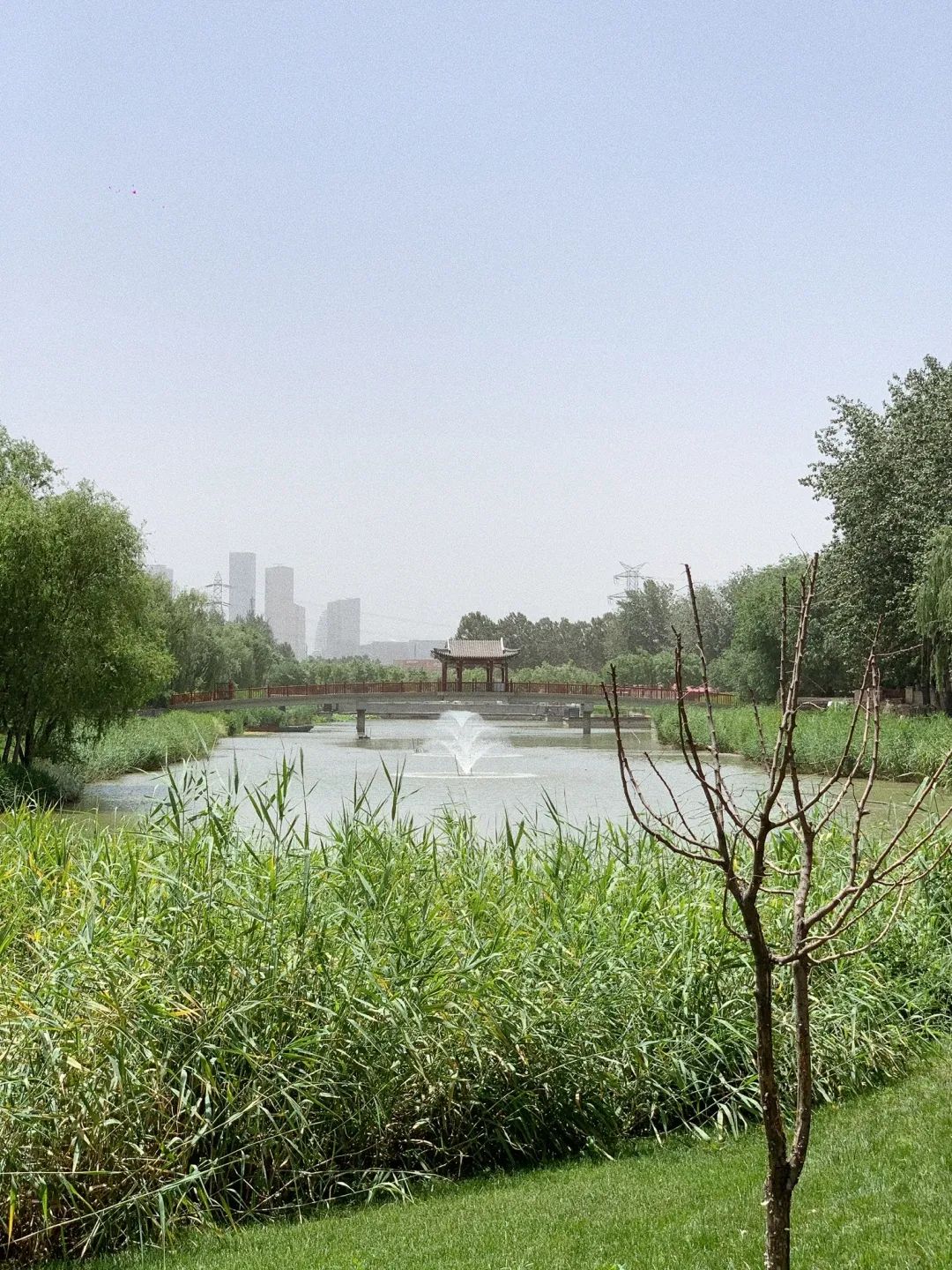 北京浪漫又好看的风景餐厅,北京适合夏天去的餐厅