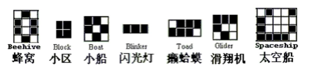数学疯子教学视频大全,生命游戏数学