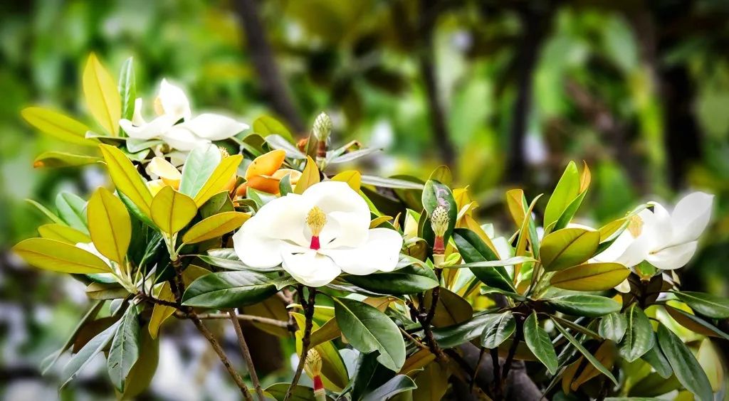 来吧！带你畅游这诗意工贸|文末有重磅福利