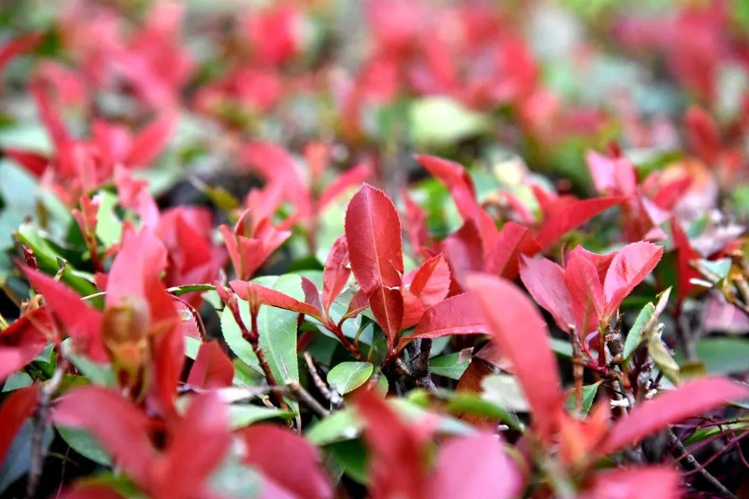 来吧！带你畅游这诗意工贸|文末有重磅福利