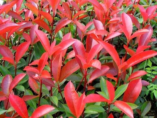 来吧！带你畅游这诗意工贸|文末有重磅福利