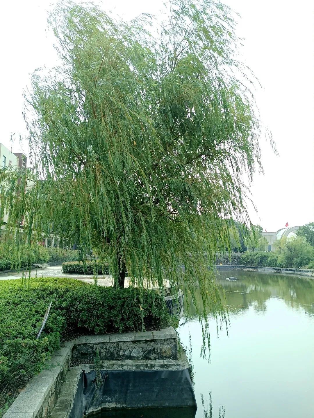 来吧！带你畅游这诗意工贸|文末有重磅福利