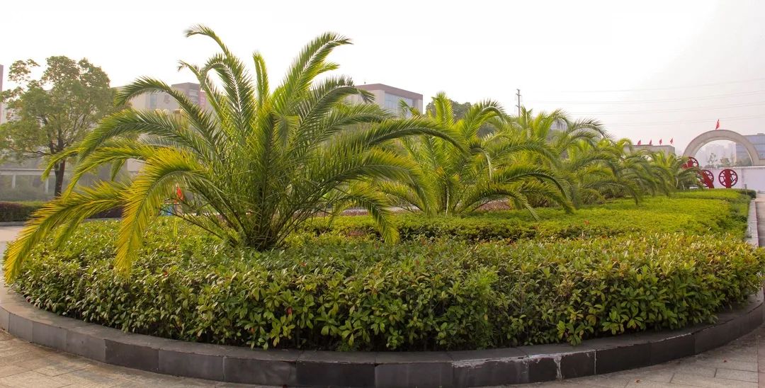 来吧！带你畅游这诗意工贸|文末有重磅福利