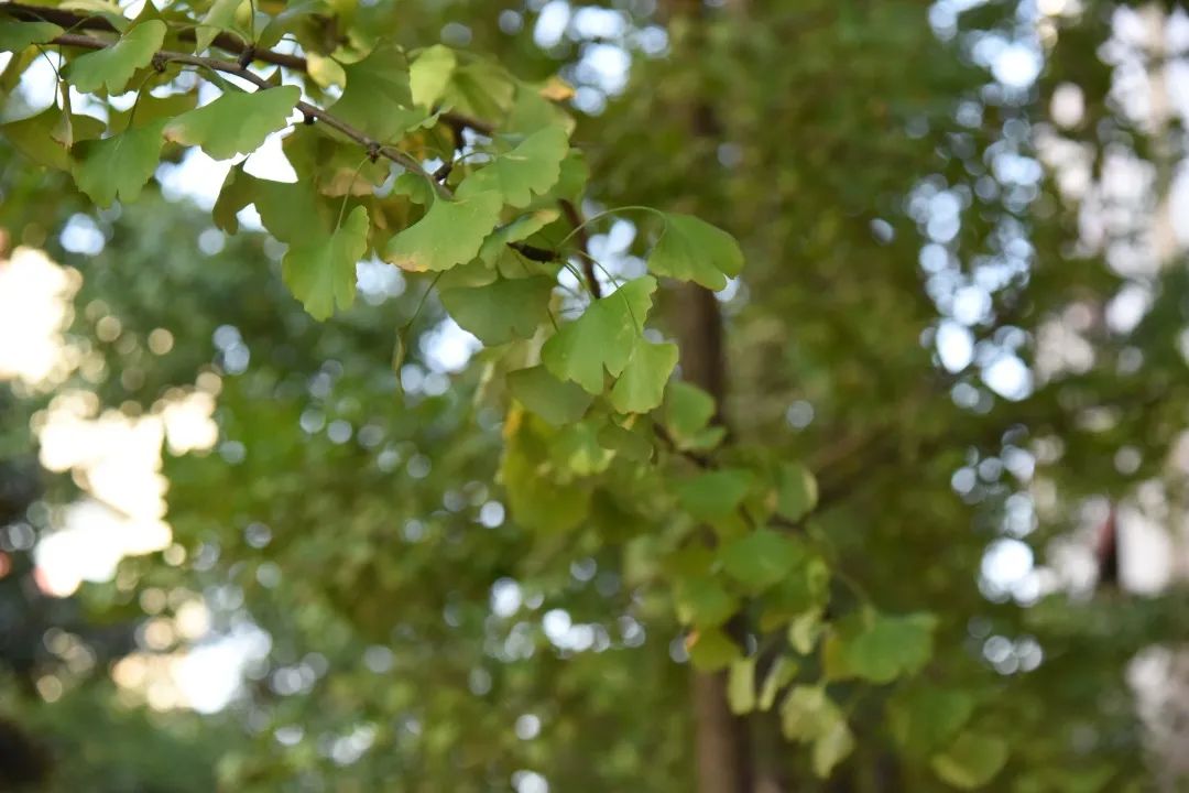 来吧！带你畅游这诗意工贸|文末有重磅福利