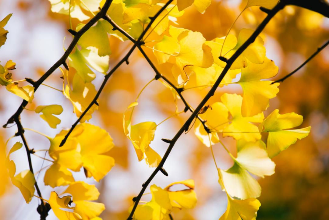 来吧！带你畅游这诗意工贸|文末有重磅福利