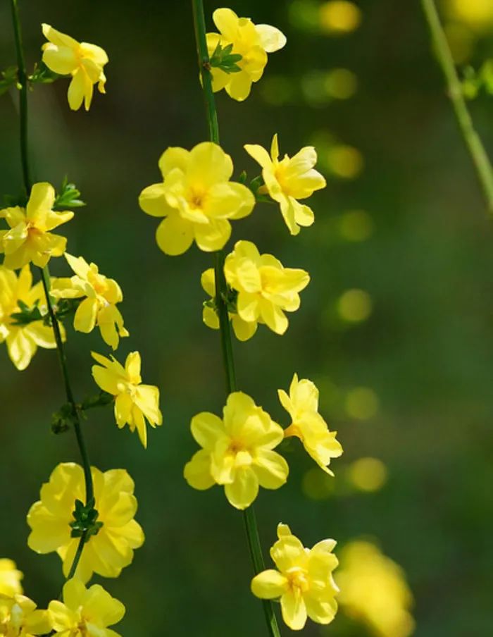 来吧！带你畅游这诗意工贸|文末有重磅福利