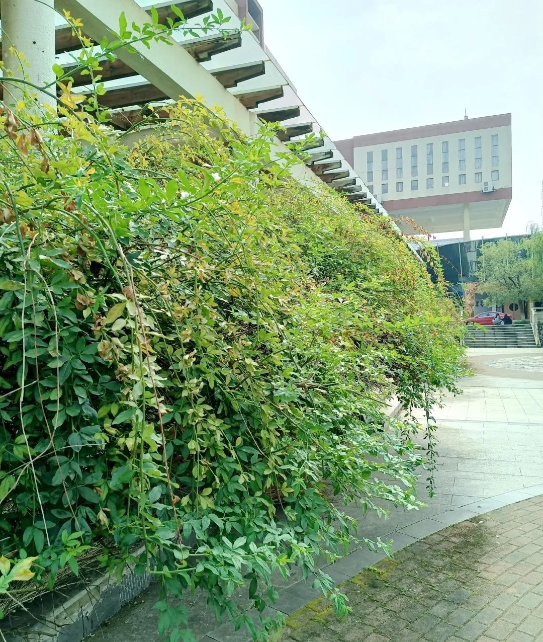 来吧！带你畅游这诗意工贸|文末有重磅福利