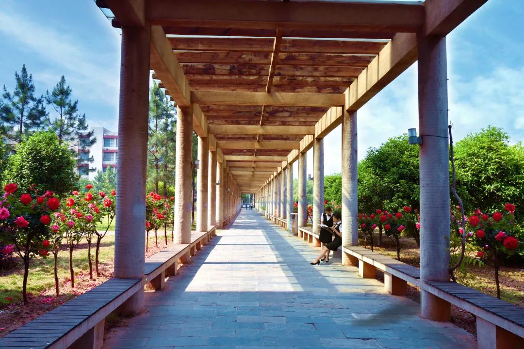 来吧！带你畅游这诗意工贸|文末有重磅福利