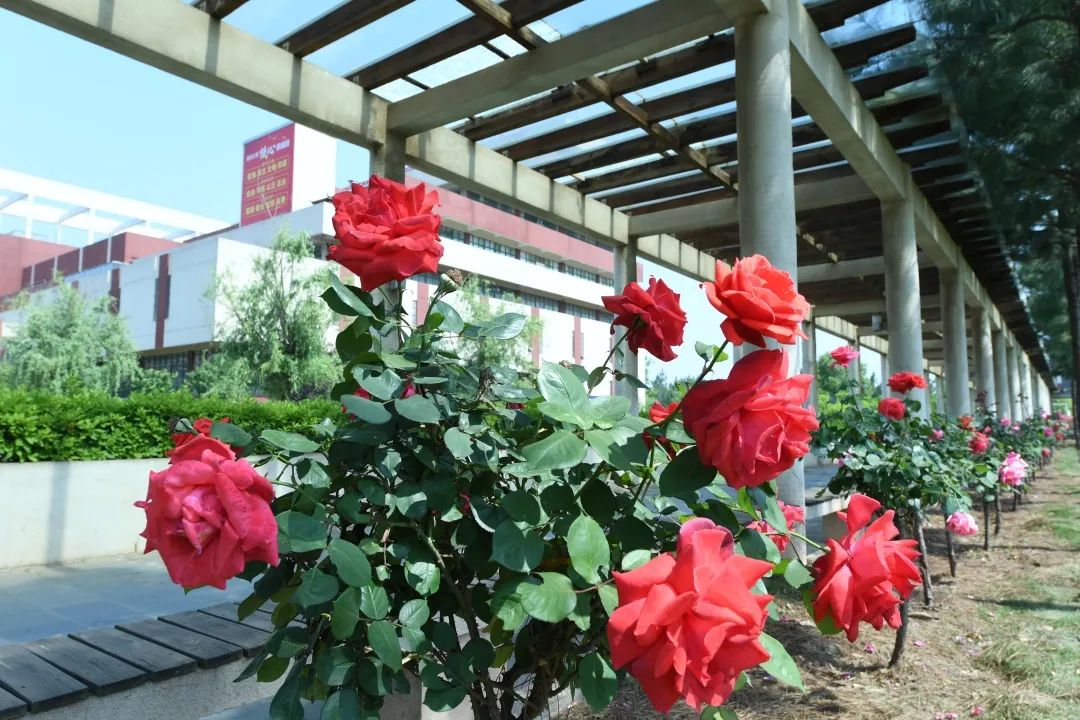 来吧！带你畅游这诗意工贸|文末有重磅福利