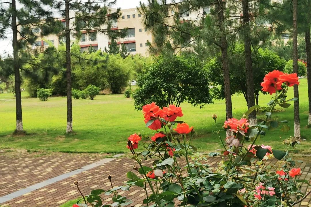 来吧！带你畅游这诗意工贸|文末有重磅福利