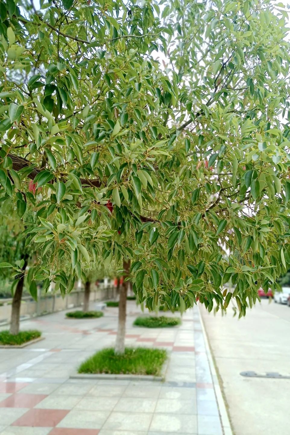 来吧！带你畅游这诗意工贸|文末有重磅福利