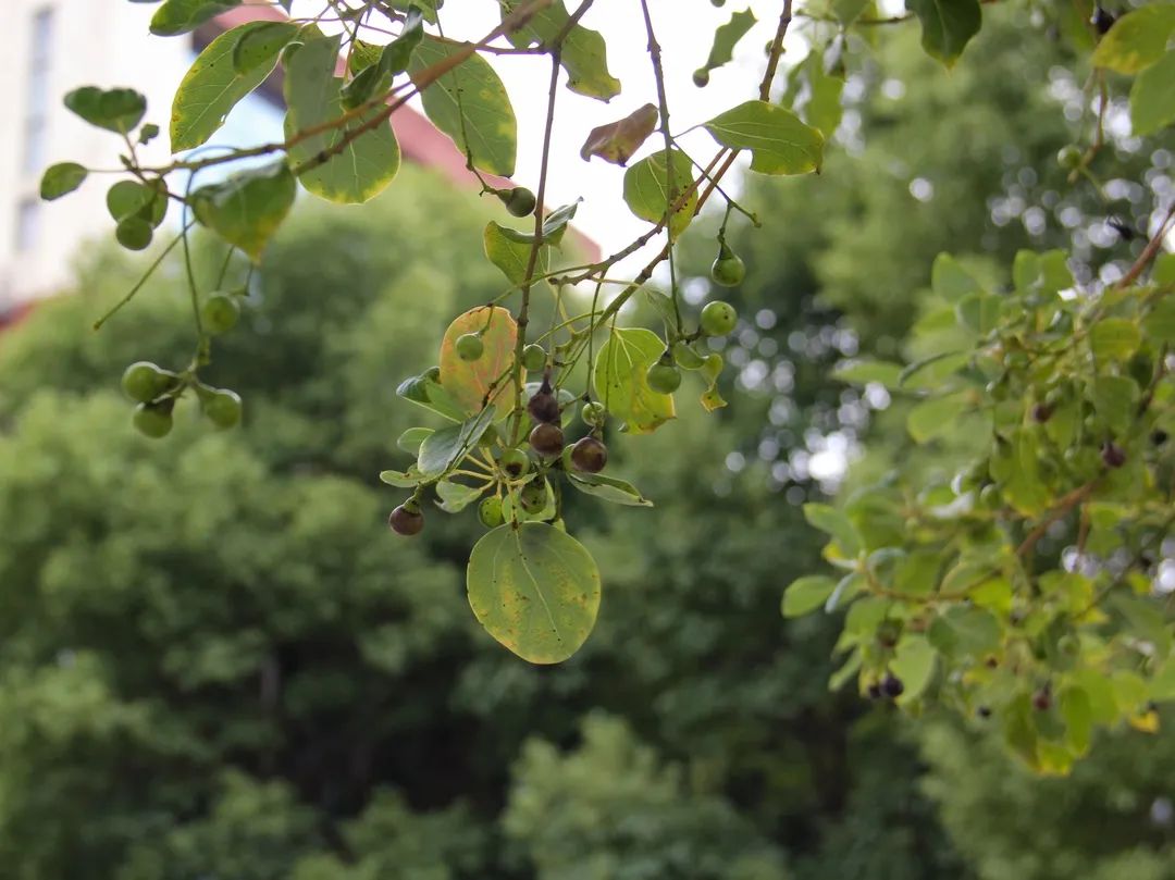 来吧！带你畅游这诗意工贸|文末有重磅福利