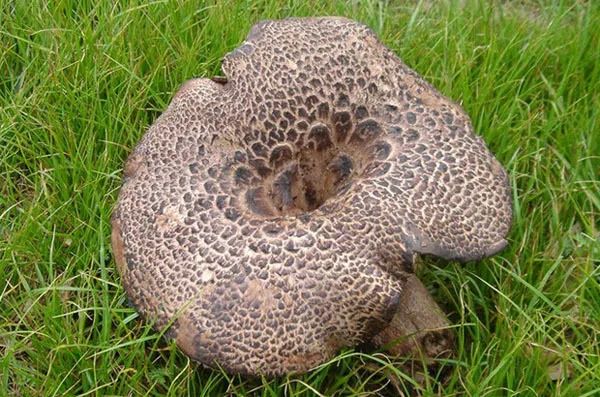 昆明嵩明玩的地方,潮玩派对昆明店