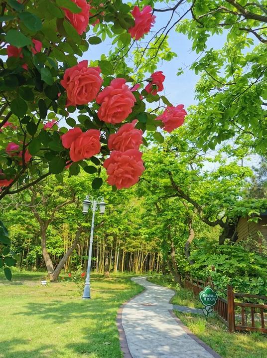 黄山市职工疗休养基地,首批安徽省职工疗休养基地名单