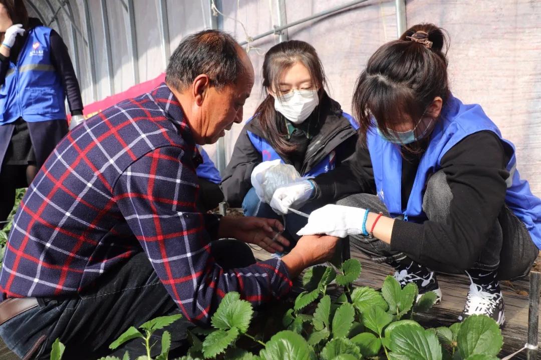 乡村振兴中的文化力量,陪伴式帮扶乡村振兴