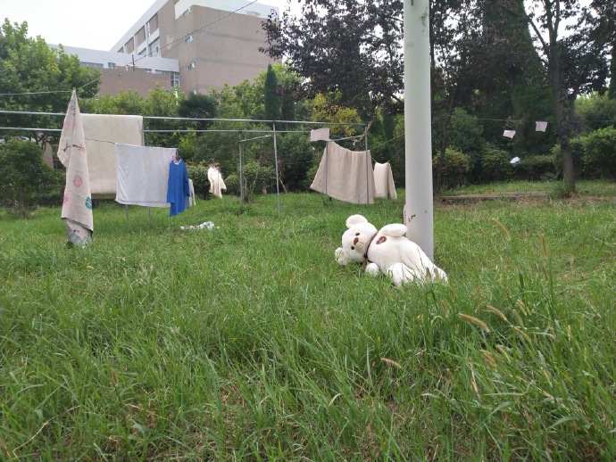 刘昊然在保温杯上班,刘昊然带保温杯上班